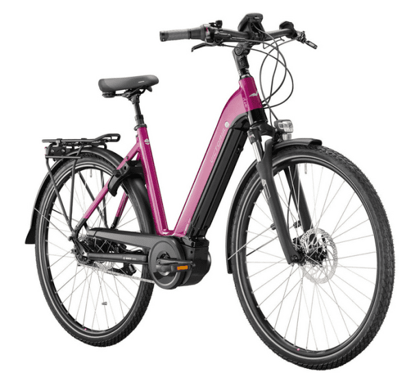 Victoria"E-Trekking 11.5" 500 Wh